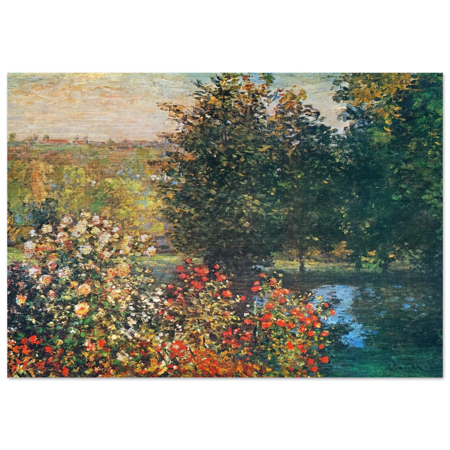 Roses in the Hoshede`s Garden at Montregon - claude monet Brushed Aluminum Print - 70x100 cm / 28x40 inches | claude monet Aluminum Print | claude monet Prints