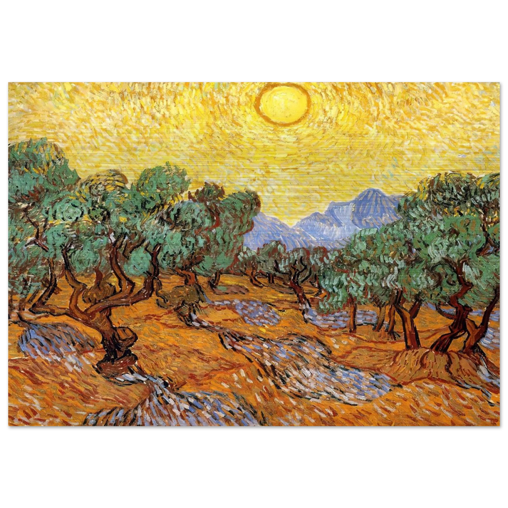 Olive Trees with Yellow Sky and Sun - Vincent van Gogh Brushed Aluminum Print - 70x100 cm / 28x40 inches | Vincent van Gogh Aluminum Print | Vincent van Gogh Prints