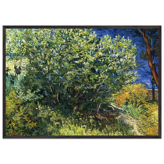 Lilac Bush - Vincent van Gogh 70x100 cm / 28x40 inches Framed Art Print – Black Wooden Frame