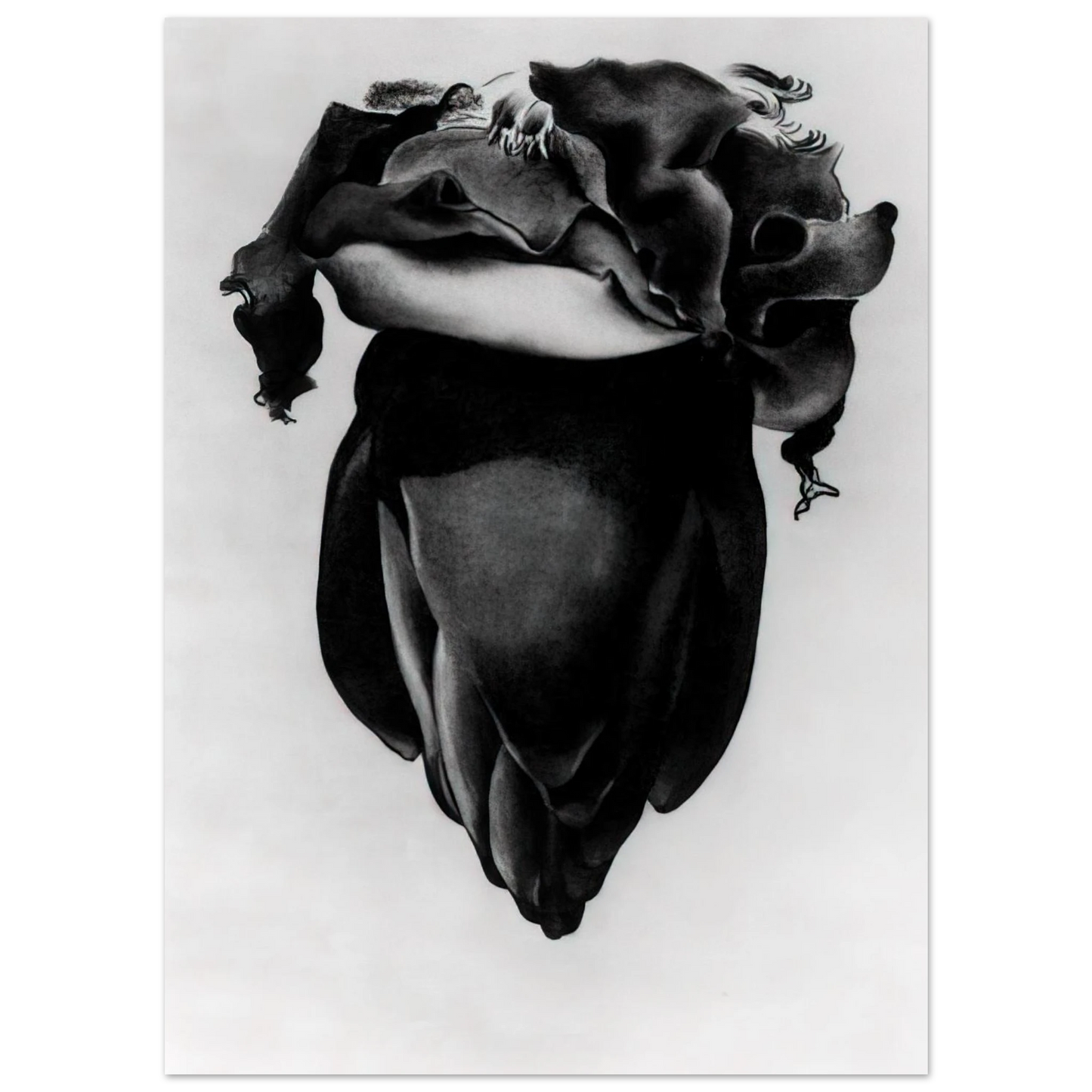 Georgia O'Keeffe - Banana Flower Fine Art Poster