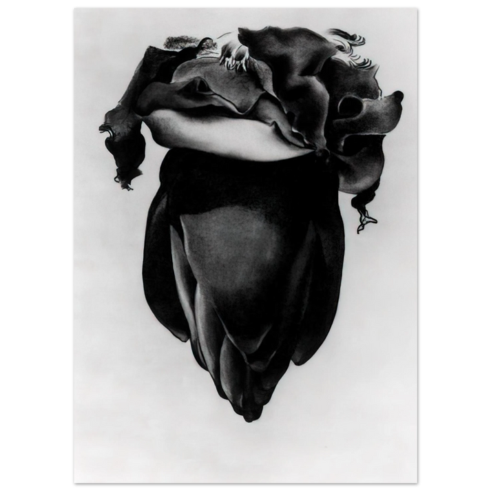 Georgia O'Keeffe - Banana Flower Fine Art Poster