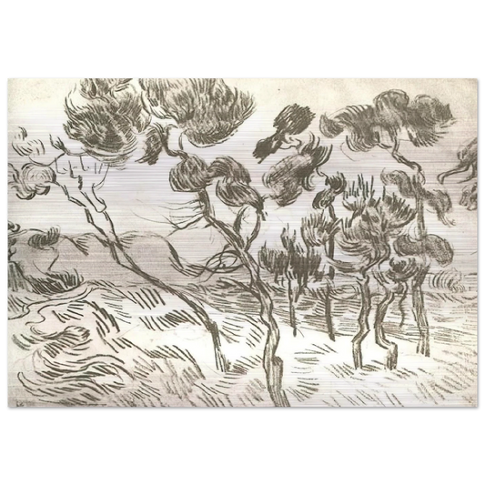 A Group of Pine Trees near a House - Vincent van Gogh Brushed Aluminum Print - 70x100 cm / 28x40 inches | Vincent van Gogh Aluminum Print | Vincent van Gogh Prints