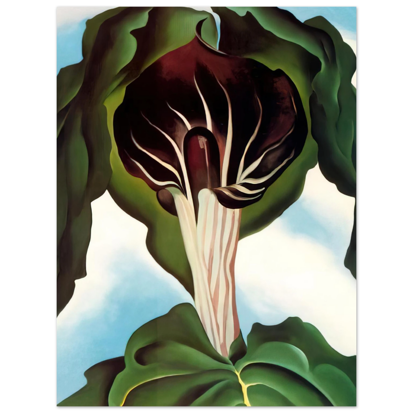Georgia O'Keeffe - Jack-in-the-Pulpit III Fine Art Poster