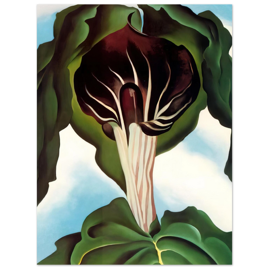 Georgia O'Keeffe - Jack-in-the-Pulpit III Fine Art Poster