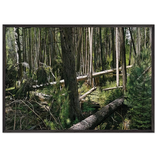 NEAR HUNTERS BEACH ACADIA NATIONAL PARK 2008 - Richard Estes 70x100 cm / 28x40 inches Framed Art Print – Black Wooden Frame