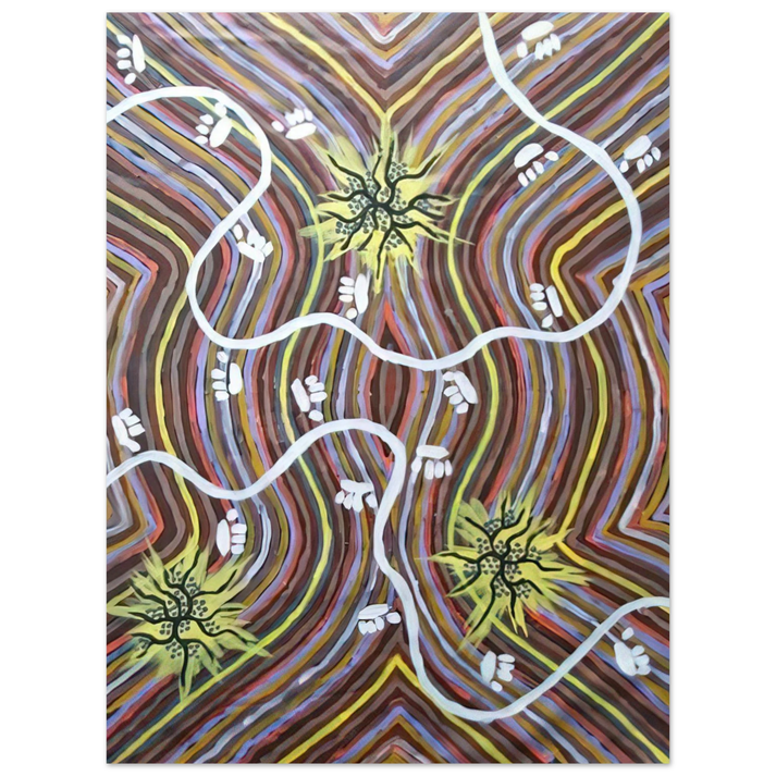 Clifford Possum Tjapaltjarri - Possum Country - 1995  75x100 cm / 30x40inches Fine Art Poster