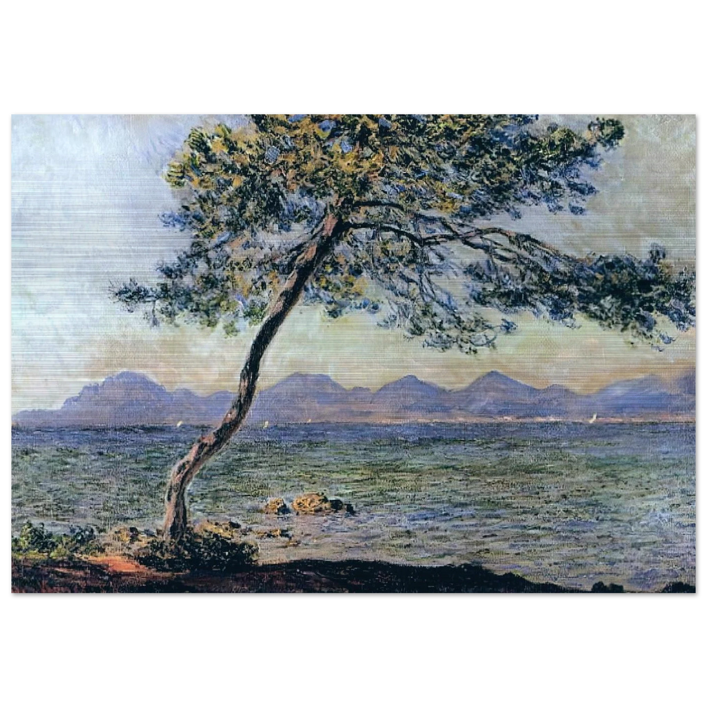 At Cap d'Antibes - claude monet Brushed Aluminum Print - 70x100 cm / 28x40 inches | claude monet Aluminum Print | claude monet Prints