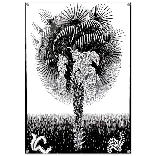 PALM TREE - MC Escher Acrylic Print - 70x100 cm / 28x40″ inches | MC Escher Wall Art | MC Escher Prints