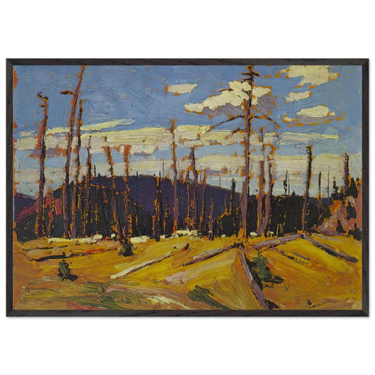 BURNT OVER FOREST 1916 - Tom Thomson 70x100 cm / 28x40 inches Framed Art Print – Black Wooden Frame