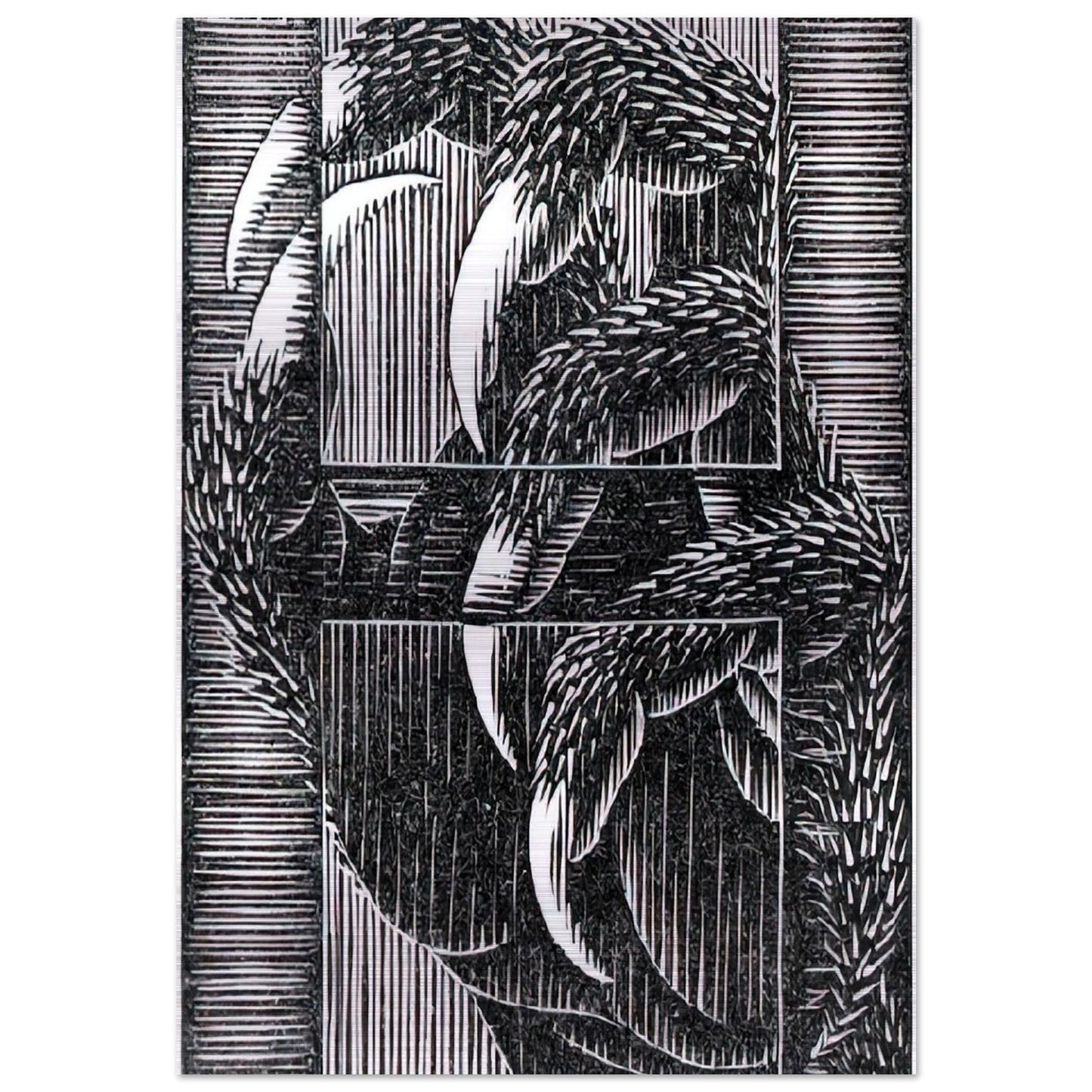 ESCHER (13) - MC Escher Brushed Aluminum Print - 70x100 cm / 28x40 inches | MC Escher Aluminum Print | MC Escher Prints