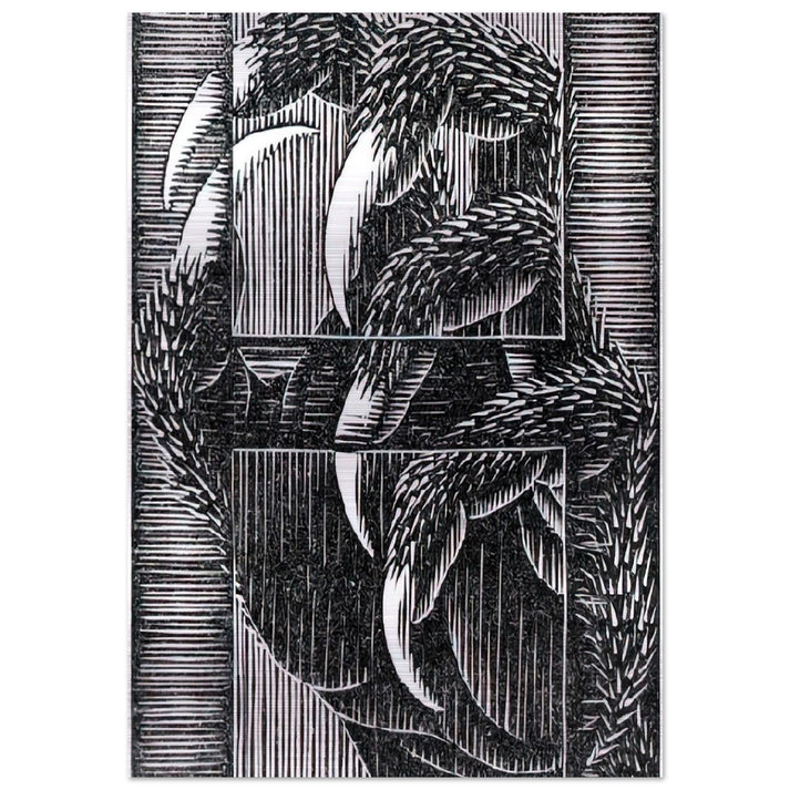 ESCHER (13) - MC Escher Brushed Aluminum Print - 70x100 cm / 28x40 inches | MC Escher Aluminum Print | MC Escher Prints