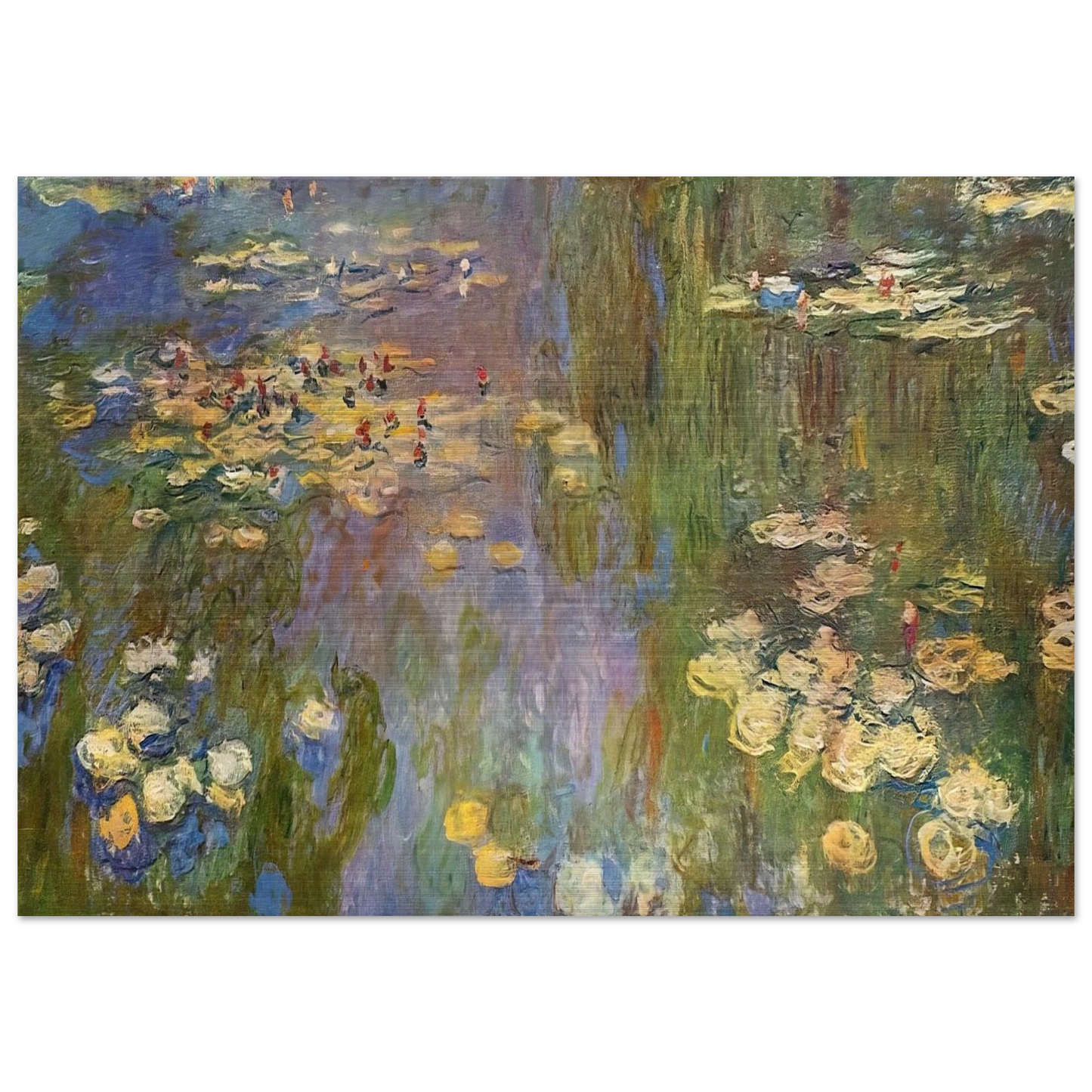 Water Lilies - claude monet Brushed Aluminum Print - 70x100 cm / 28x40 inches | claude monet Aluminum Print | claude monet Prints