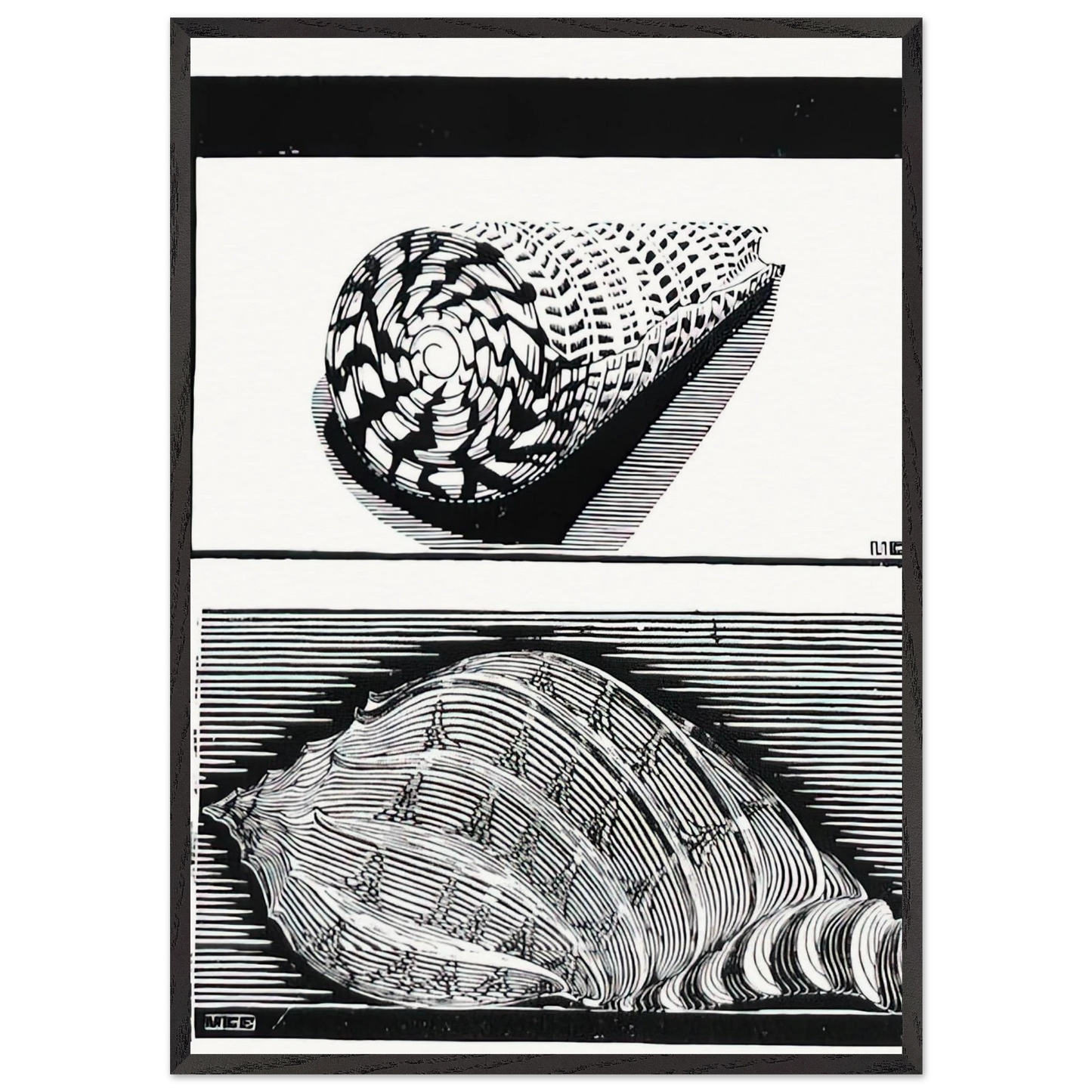 SEA SHELLS - MC Escher 70x100 cm / 28x40 inches Framed Art Print – Black Wooden Frame | Maurits Cornelis Escher Prints