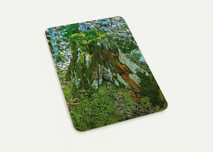 7a363ebe-faa1-472f-9436-d74966cd1c63