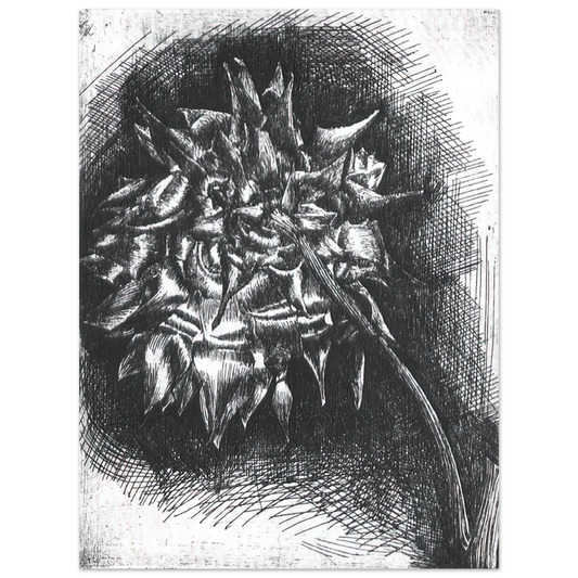 MC Escher - FLOWER Wall Art - 21x29.7 cm / 8x12" - Fine Art Poster - -