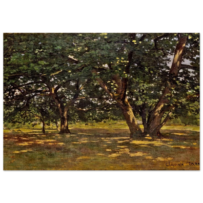 Fontainebleau Forest - claude monet Brushed Aluminum Print - 70x100 cm / 28x40 inches | claude monet Aluminum Print | claude monet Prints