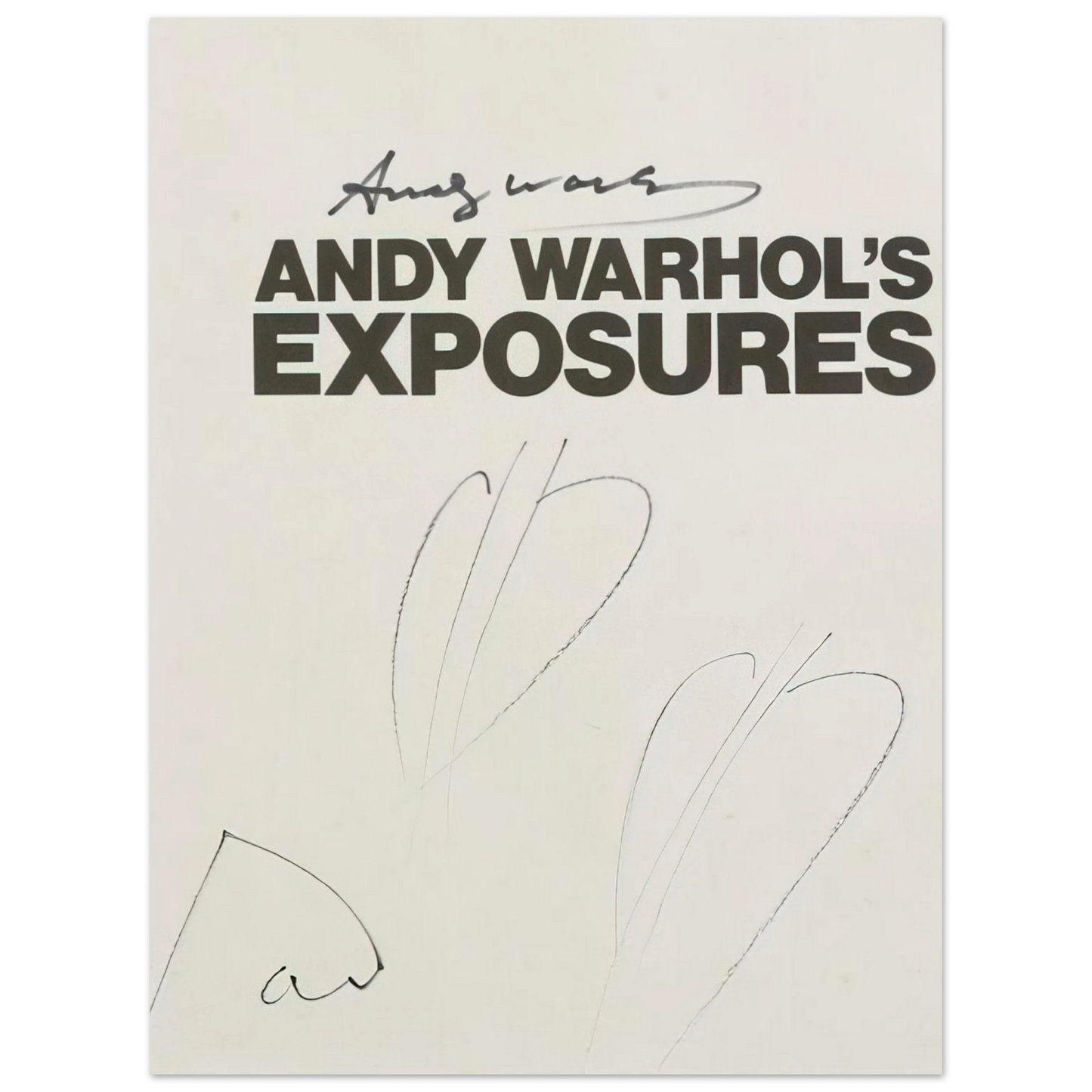 Andy Warhol - Butterfly Hearths  Andy Warhol's Exposures  Fine Art Poster