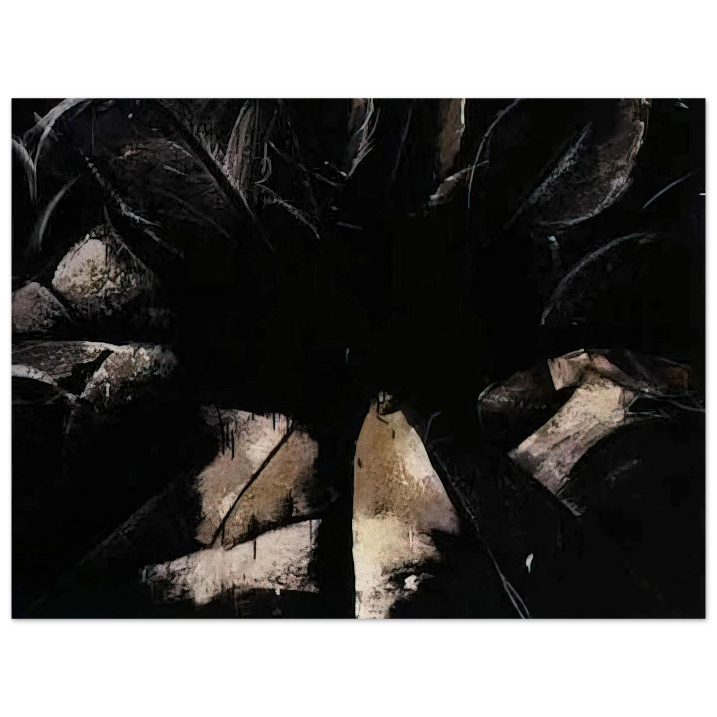 Jay DeFeo - Jay DeFeo/BIG/Cabbage Rose  75x100 cm / 30x40inches Fine Art Poster