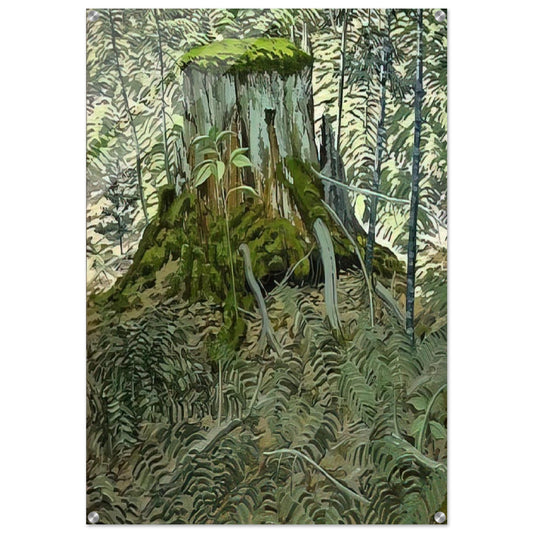 Stump and Ferns - Contemporary Realism - Neil Welliver Acrylic Print - 70x100 cm / 28x40″ inches | Neil Welliver Wall Art | Neil Welliver Prints