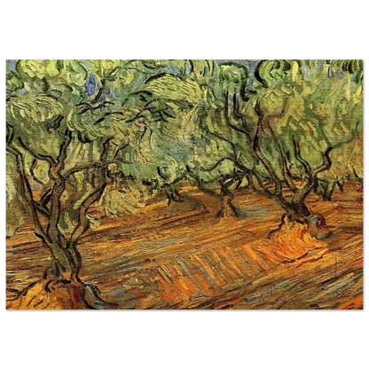 Olive Grove - Bright Blue Sky - Vincent van Gogh Brushed Aluminum Print - 70x100 cm / 28x40 inches | Vincent van Gogh Aluminum Print | Vincent van Gogh Prints