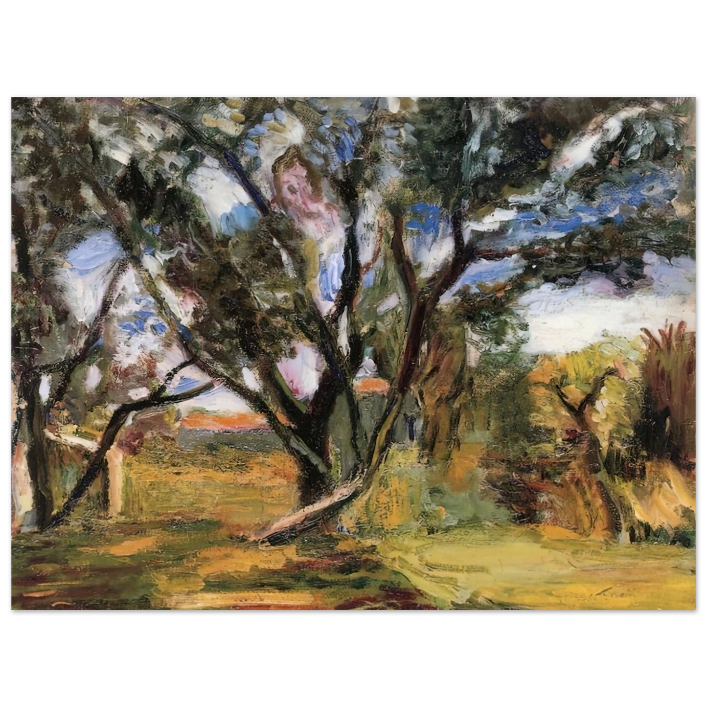 Henri Matisse - THE OLIVE TREE  75x100 cm / 30x40inches Fine Art Poster