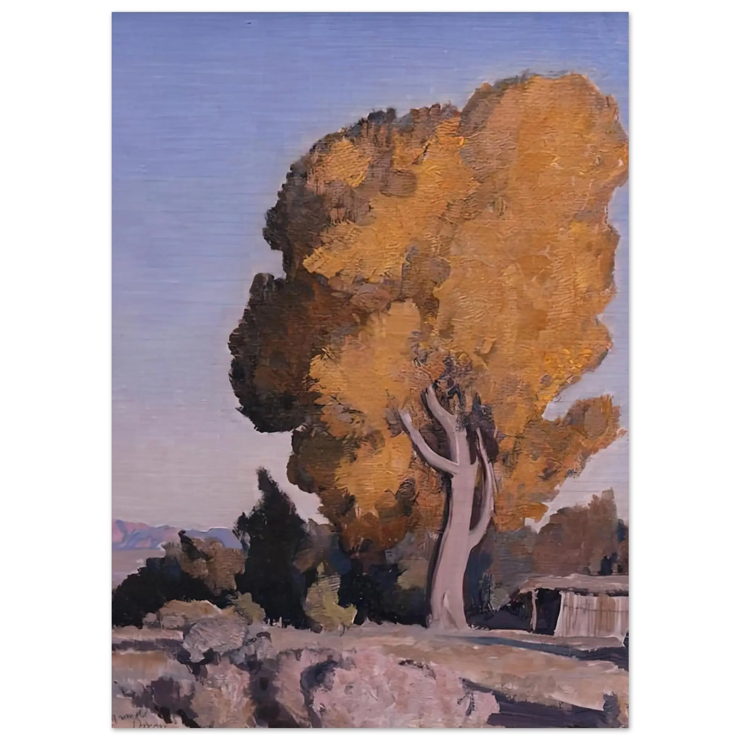 Maynard Dixon - LOW COUNTRY COTTONWOOD 1940 Wall art - 30x45 cm / 12x18 Inches - Fine Art Poster - -