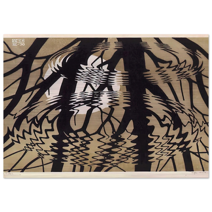 RIPPLED SURFACE COLOUR - MC Escher Brushed Aluminum Print - 70x100 cm / 28x40 inches | MC Escher Aluminum Print | MC Escher Prints