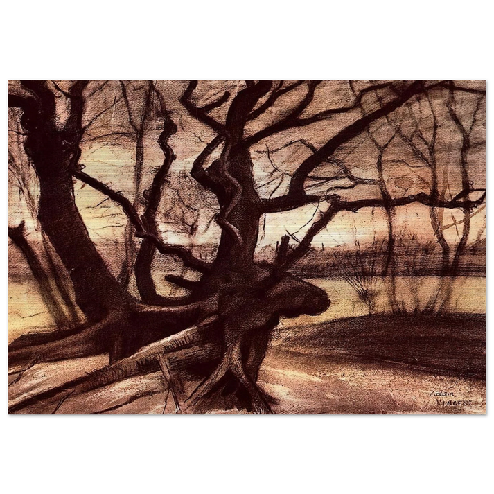 Study of a Tree - Vincent van Gogh Brushed Aluminum Print - 70x100 cm / 28x40 inches | Vincent van Gogh Aluminum Print | Vincent van Gogh Prints
