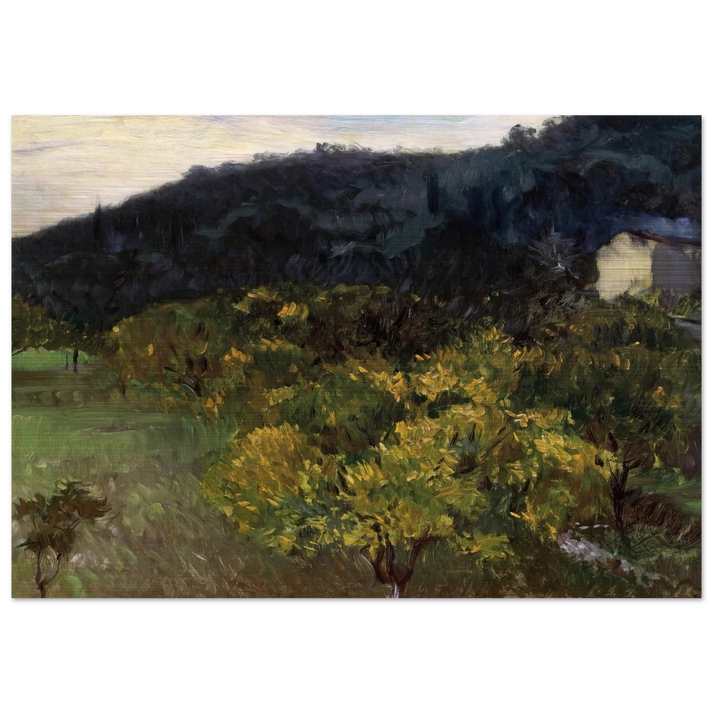 Landscape near Grasse - John Singer Sargent Brushed Aluminum Print - 70x100 cm / 28x40 inches | John Singer Sargent Aluminum Print | John Singer Sargent Prints