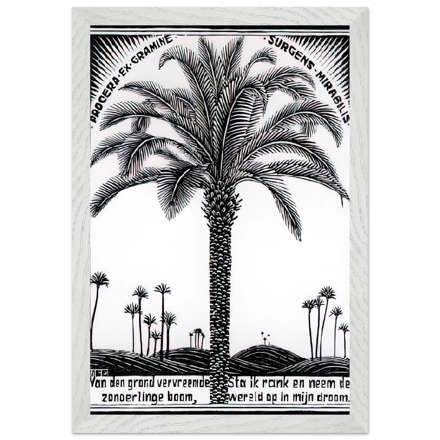 MC Escher - PALM TREE 1 Wall Art - 60x80 cm / 24x32 inches - Fine Art Poster-canvas - -