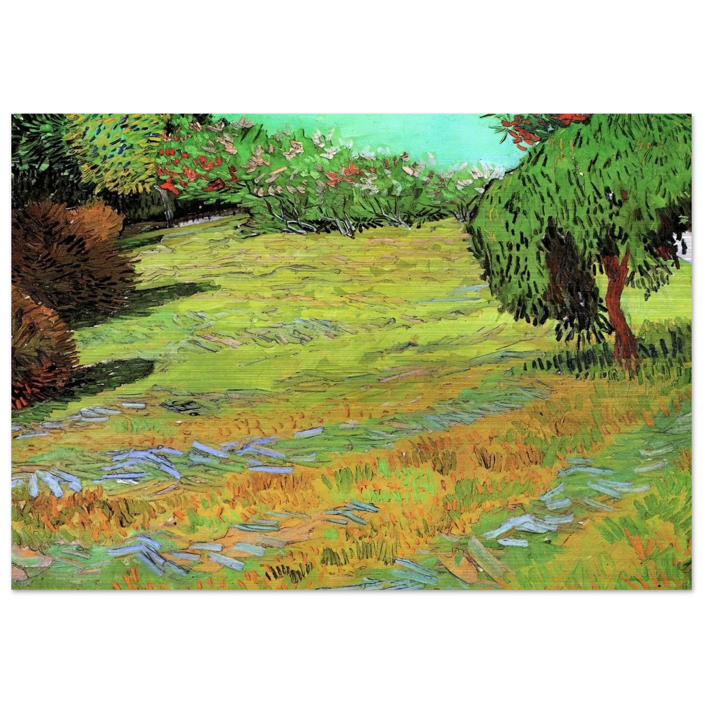Sunny Lawn in a Public Park - Vincent van Gogh Brushed Aluminum Print - 70x100 cm / 28x40 inches | Vincent van Gogh Aluminum Print | Vincent van Gogh Prints