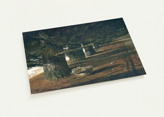 PINE BARON By Andrew Wyeth Pack of 10 Post Cards | Andrew Wyeth Post Cards | A6 (10.5 x 14.8 cm) - 4.1 x 5.8 inches