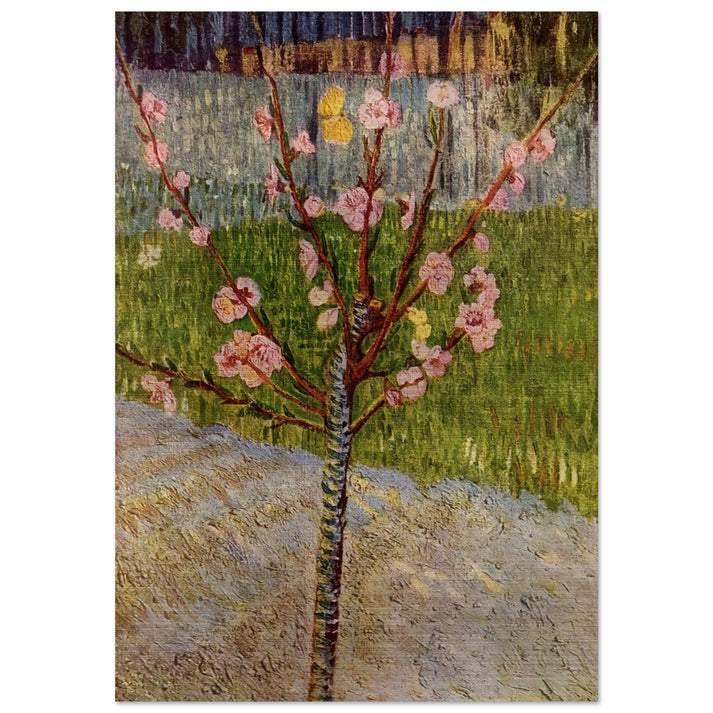 Almond Tree in Blossom - Vincent van Gogh Brushed Aluminum Print - 70x100 cm / 28x40 inches | Vincent van Gogh Aluminum Print | Vincent van Gogh Prints