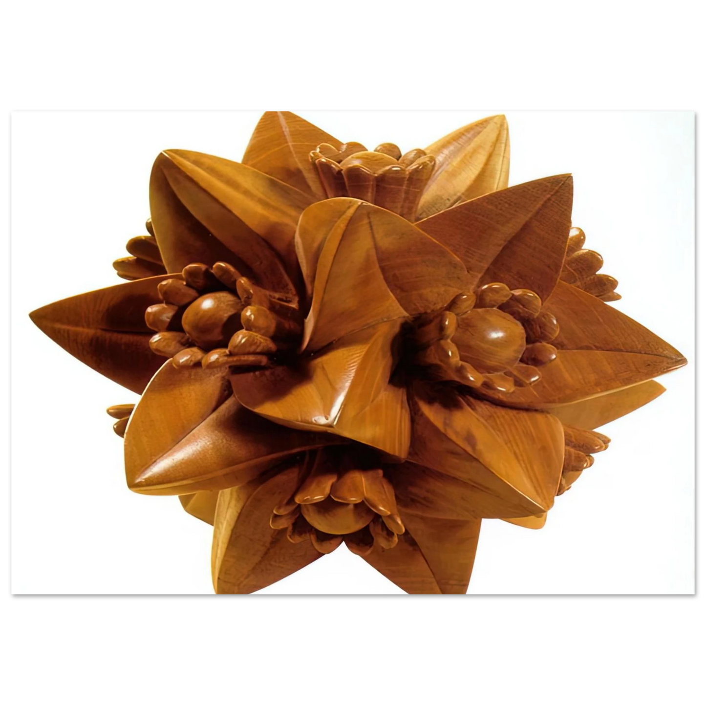MC Escher - POLYHEDRON WITH FLOWERS Wall Art - 30x40 cm / 12x16 inches - Fine Art Poster-canvas - -