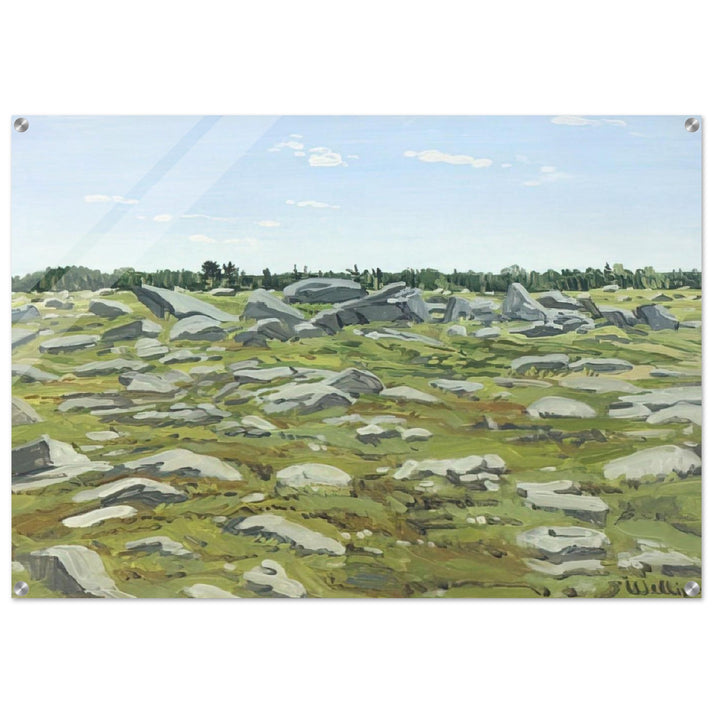Study for Midday Barren - 1972 - Neil Welliver Acrylic Print - 70x100 cm / 28x40″ inches