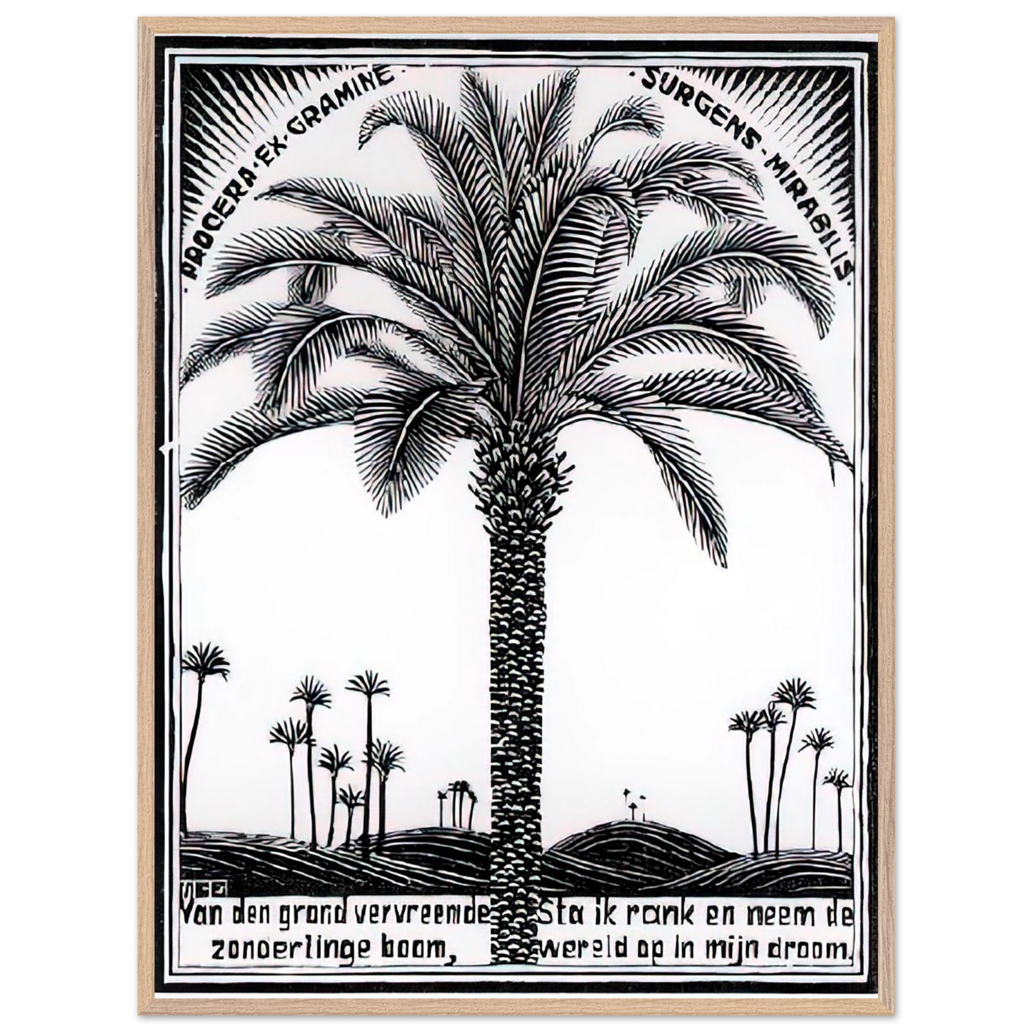 MC Escher - PALM TREE 1 Wall Art - 30x40 cm / 12x16 inches - Premium Wooden Framed Poster With Fine Art Paper-canvas - Black frame