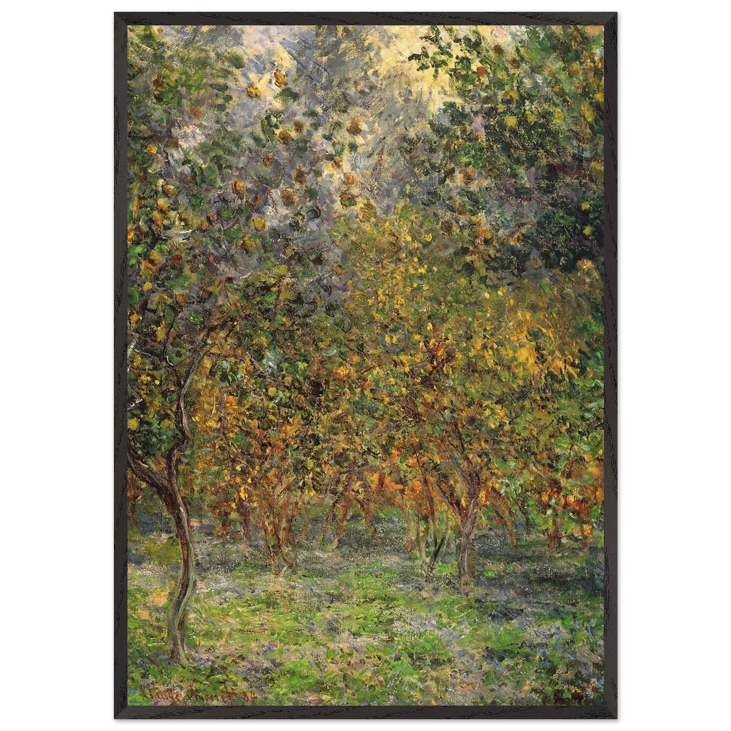 Under the Lemon Trees - claude monet 70x100 cm / 28x40 inches Framed Art Print – Black Wooden Frame