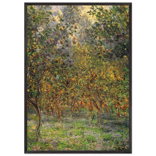 Under the Lemon Trees - claude monet 70x100 cm / 28x40 inches Framed Art Print – Black Wooden Frame