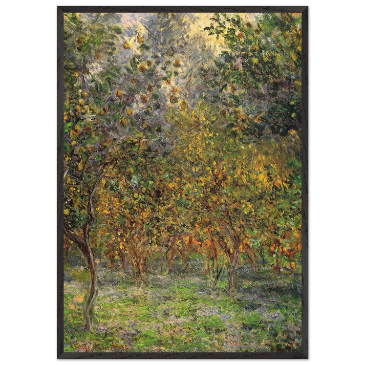 Under the Lemon Trees - claude monet 70x100 cm / 28x40 inches Framed Art Print – Black Wooden Frame