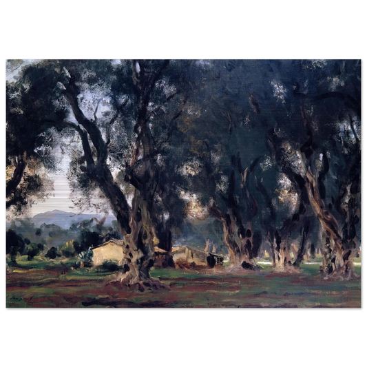 Olive Trees at Corfu - John Singer Sargent Brushed Aluminum Print - 70x100 cm / 28x40 inches | John Singer Sargent Aluminum Print | John Singer Sargent Prints