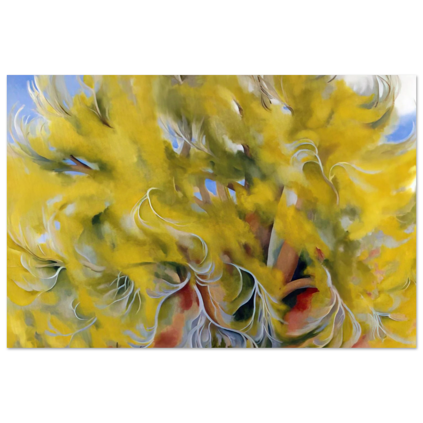 Georgia O'Keeffe - Cottonwood Tree in Spring Fine Art Poster