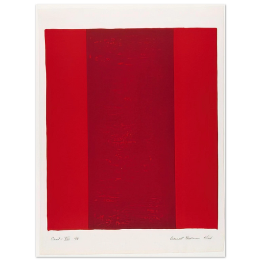 Barnett Newman - Canto XVI  75x100 cm / 30x40inches Fine Art Poster