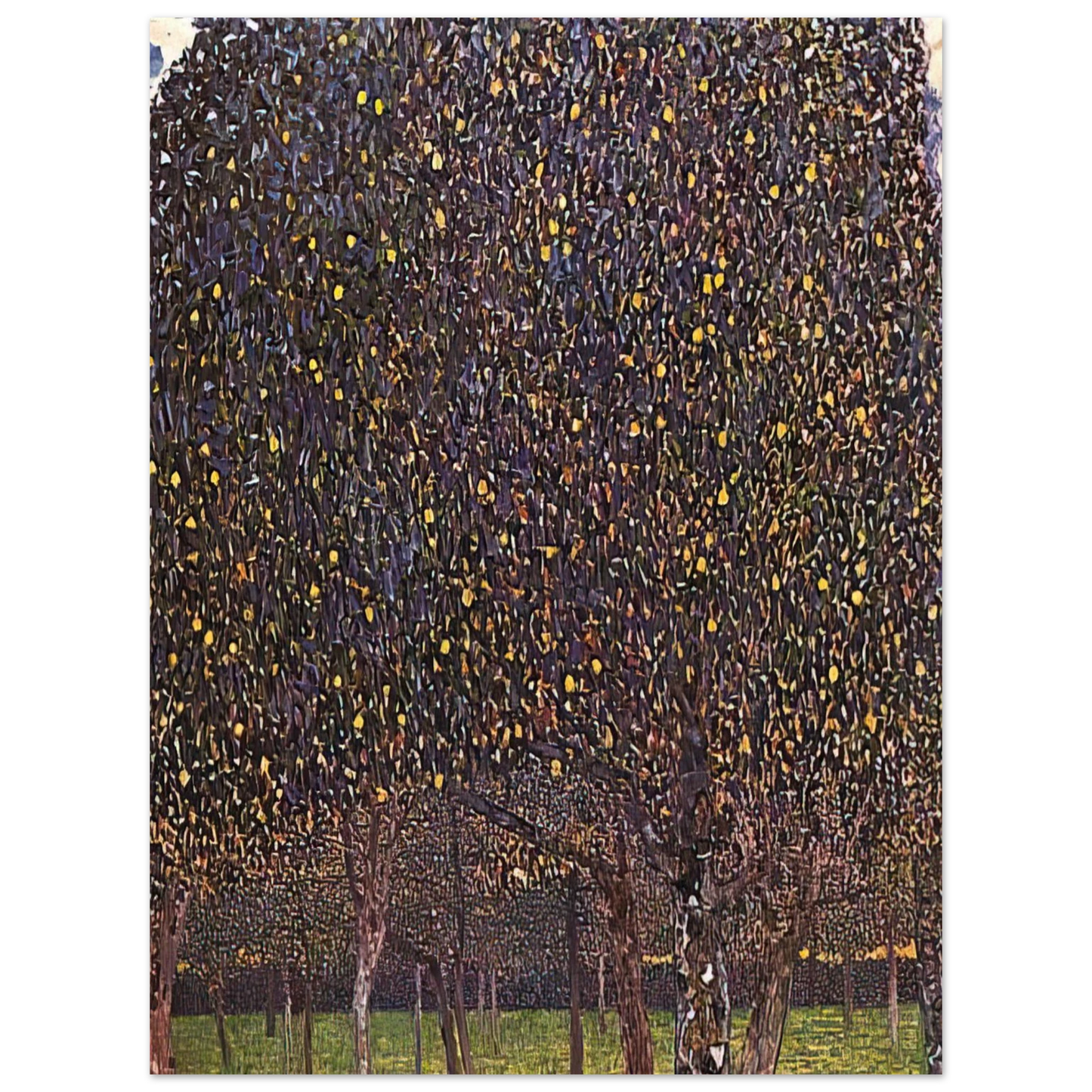 Gustav Klimt - PEAR TREE 1903  75x100 cm / 30x40inches Fine Art Poster
