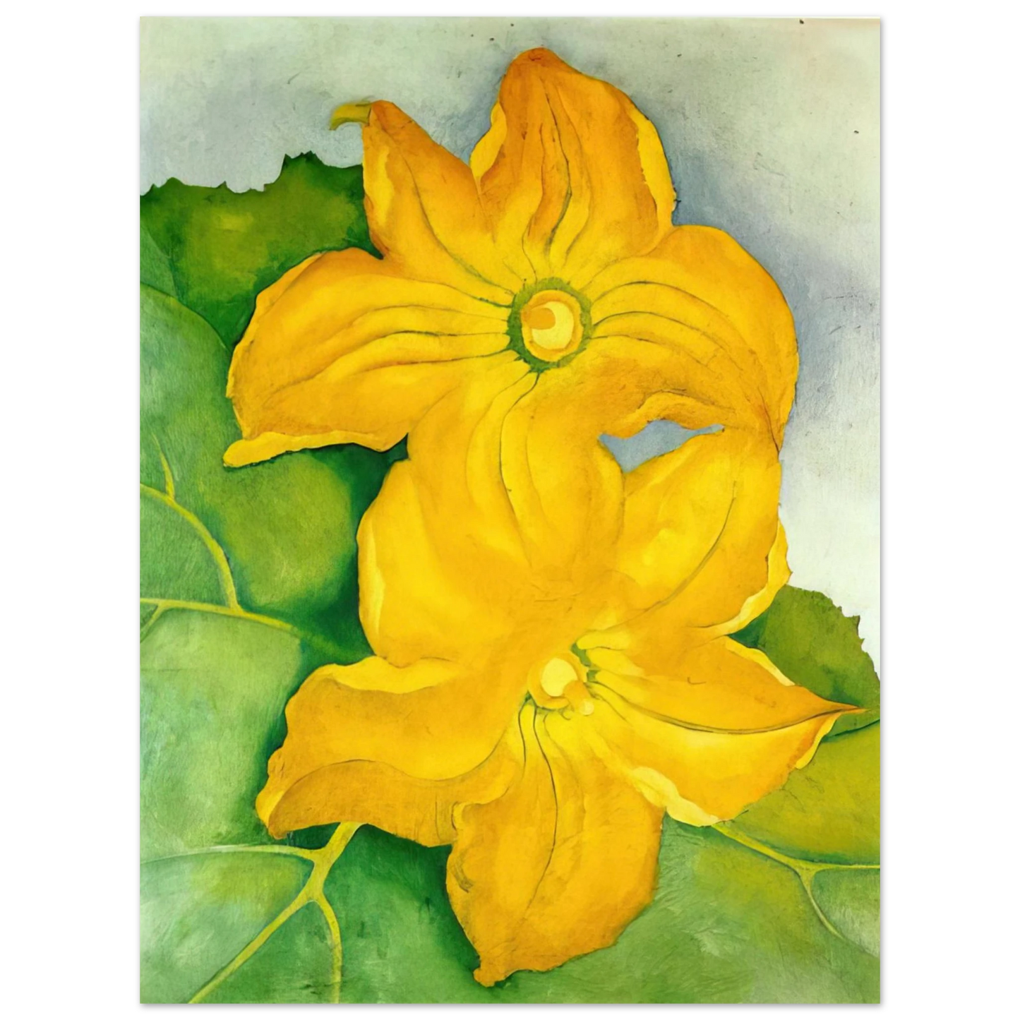Georgia O'Keeffe - Squash Blossoms I Fine Art Poster