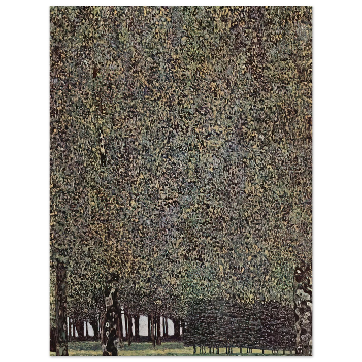 Gustav Klimt - PARK 1910  75x100 cm / 30x40inches Fine Art Poster