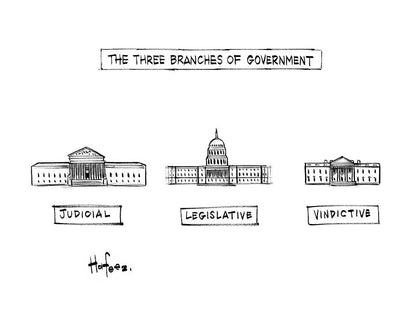 Draw Government: Fine Art Print of The Three Branches of Government | RedKalion