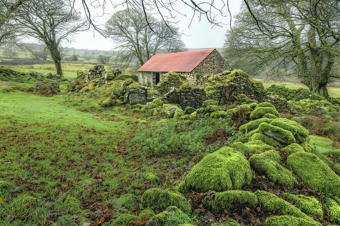 Emsworthy Farm - Dartmoor Art Print | RedKalion