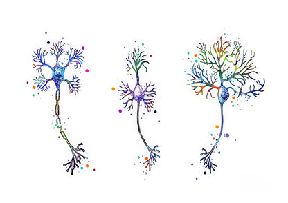 Neuron Art: Fine Art Print of Nerve Cell Watercolor | RedKalion