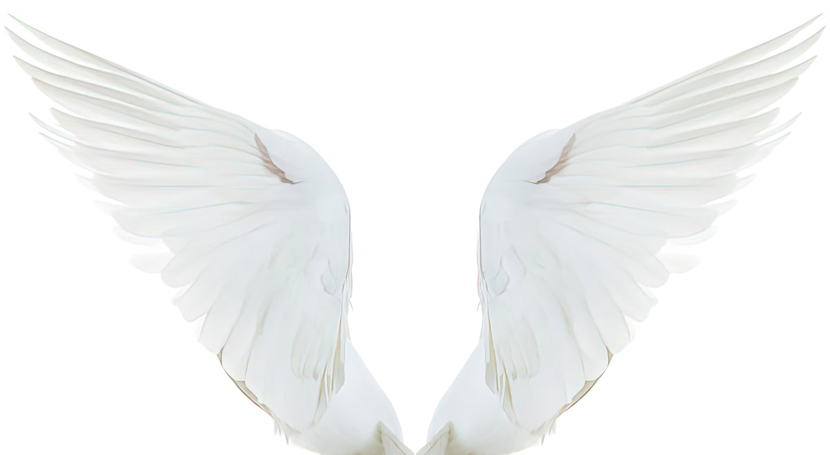 On the Wings of a Snow White Dove Art Print | RedKalion