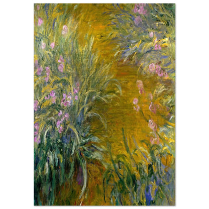 Path through the Irises 01 - claude monet Brushed Aluminum Print - 70x100 cm / 28x40 inches | claude monet Aluminum Print | claude monet Prints